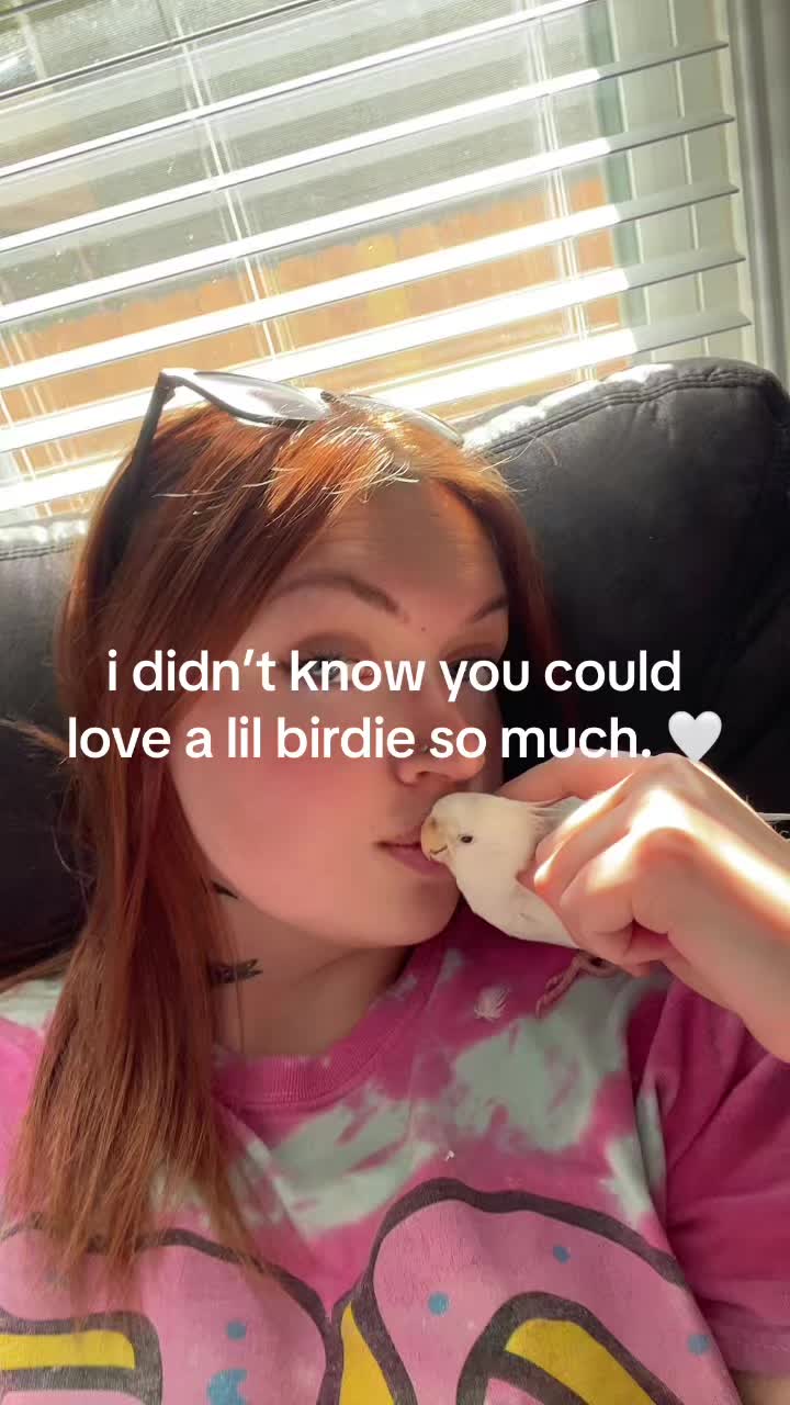 @pups & parrots