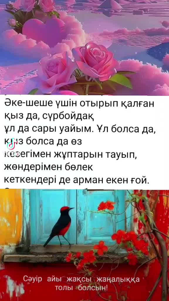 @Taraz0876