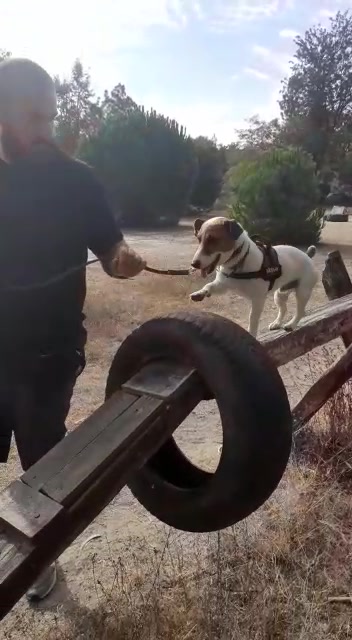 @Opie and Jax 🧡