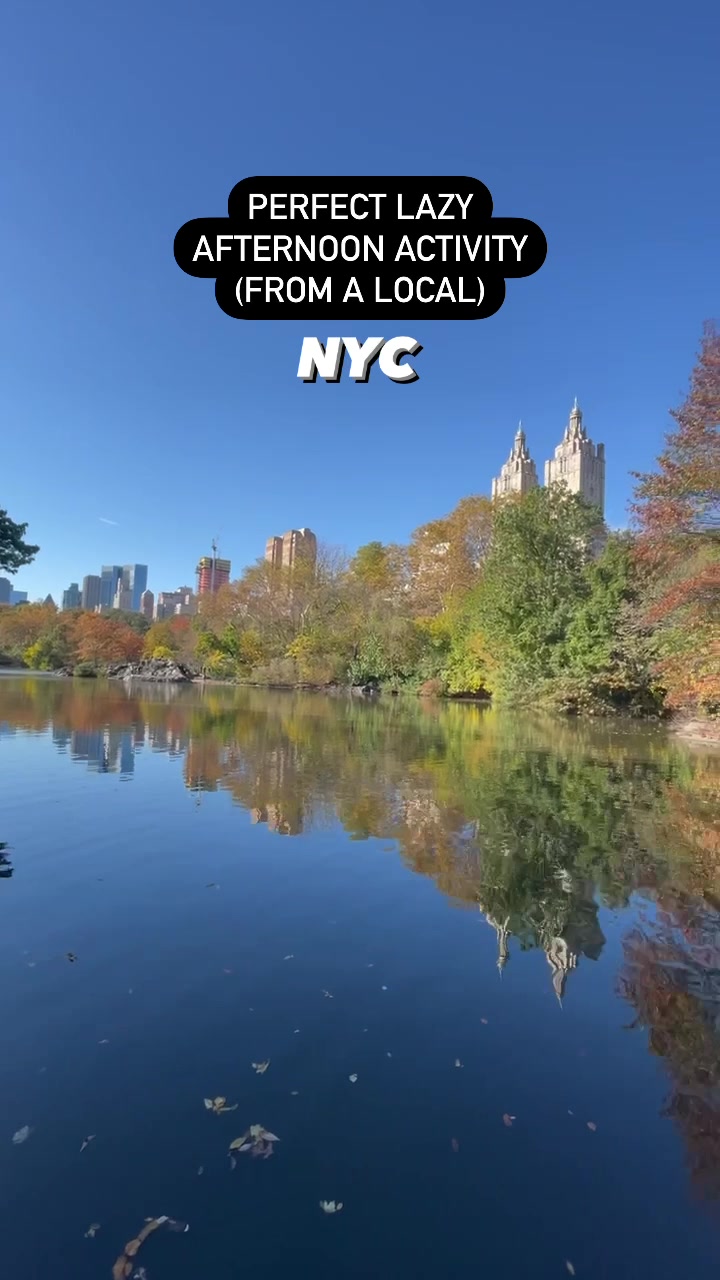 @Locals || Local Travel Rec App