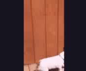 @Sarah