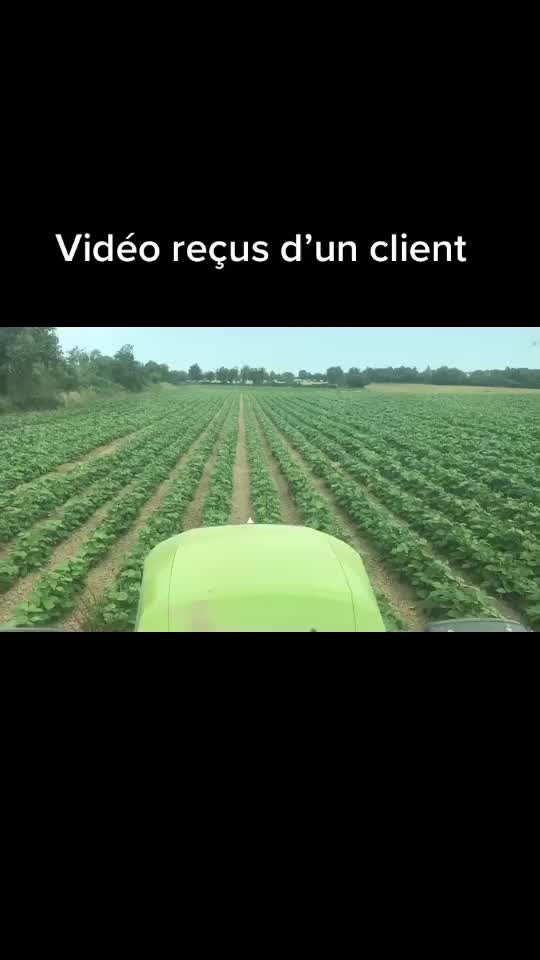 @Vatoudroit