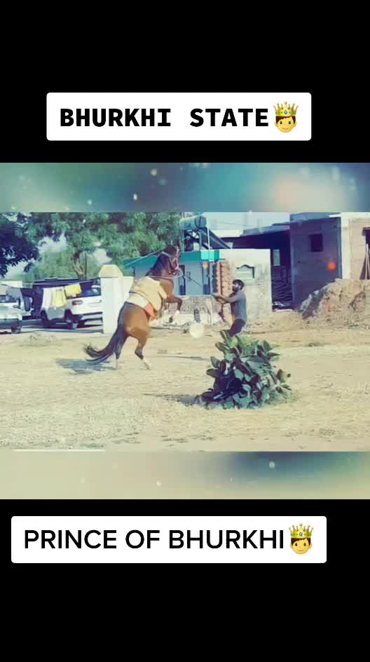 @Raj Mukhi