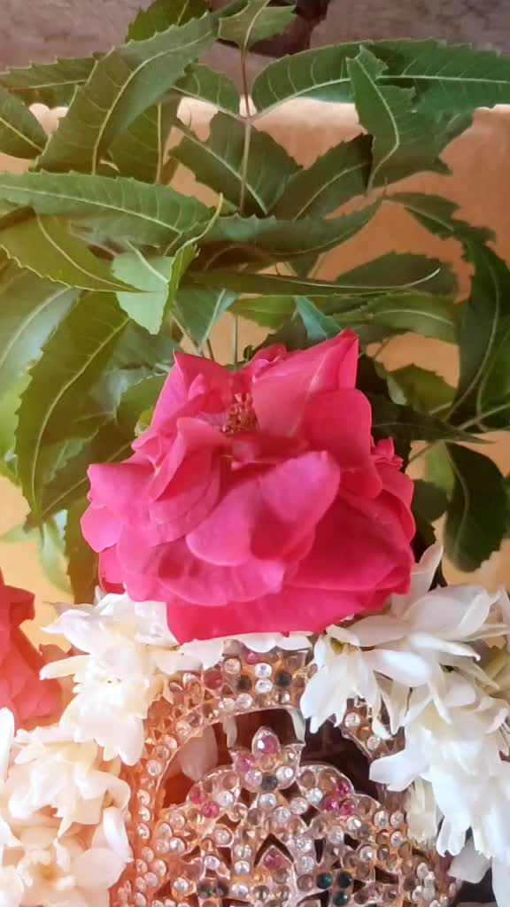 @Kalees Narayanan