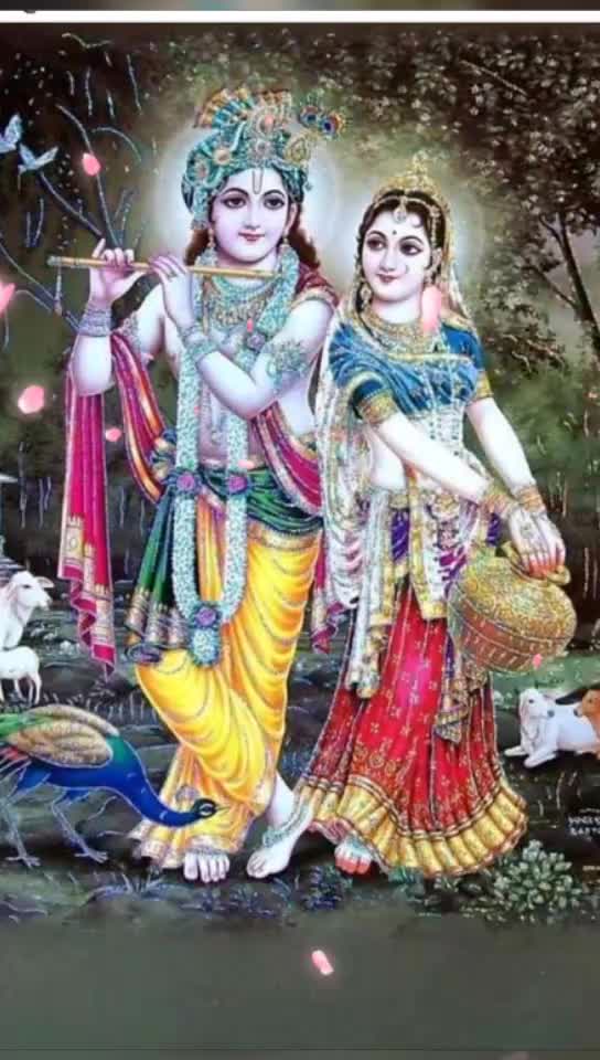 @Rajendra Saini 8995