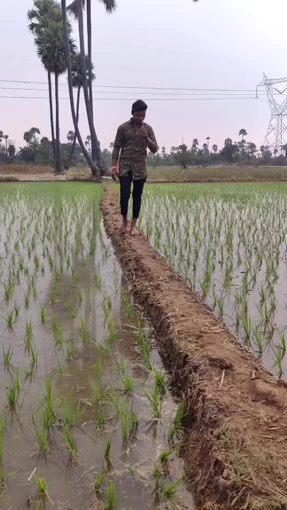 @bhanu