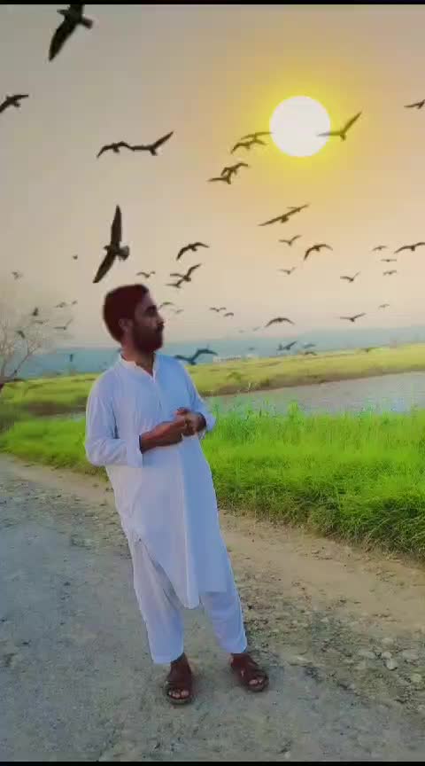 @sheibzada M Dawőõď ķHāÑ