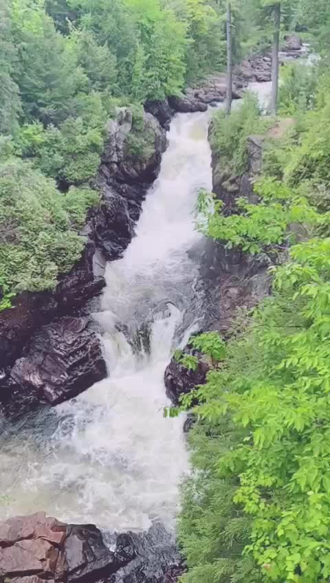 @🔥 Guntur mirchi 🔥