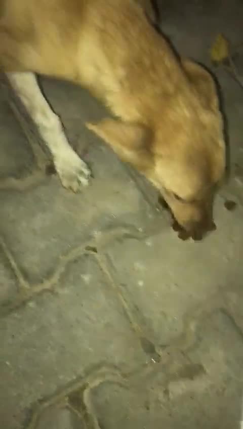 @Prabhuti shukla