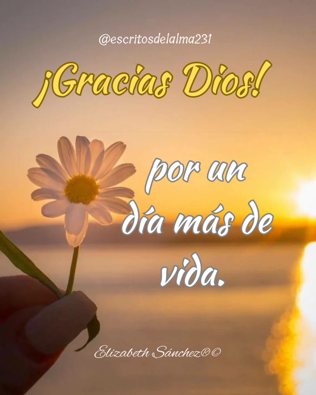 @escritosdelalma231