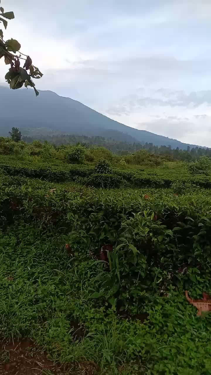 @user43439150654