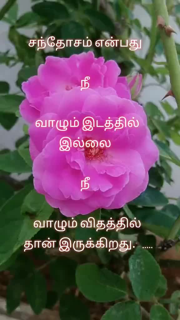 @Babu1972