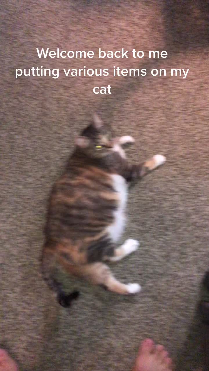 @Fishie