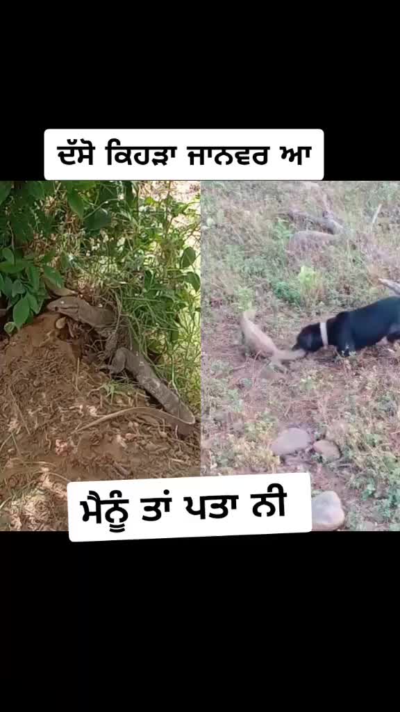 @Sumandeep Singh