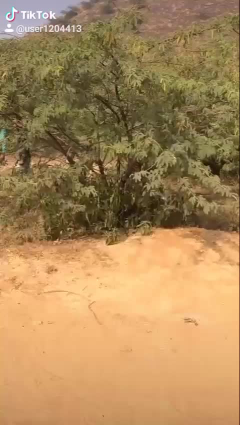@arjun mehra