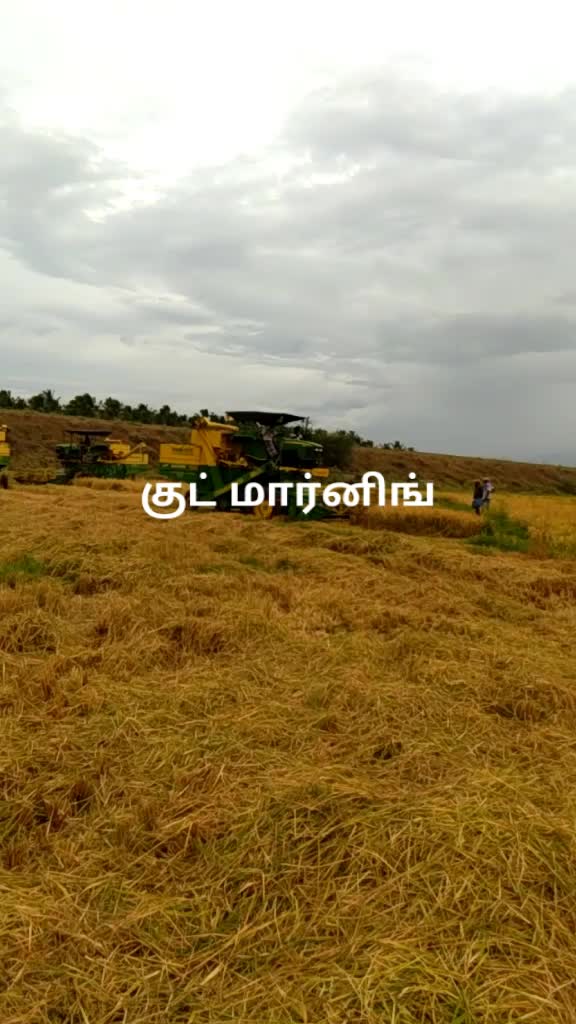 @nellai arunachalam