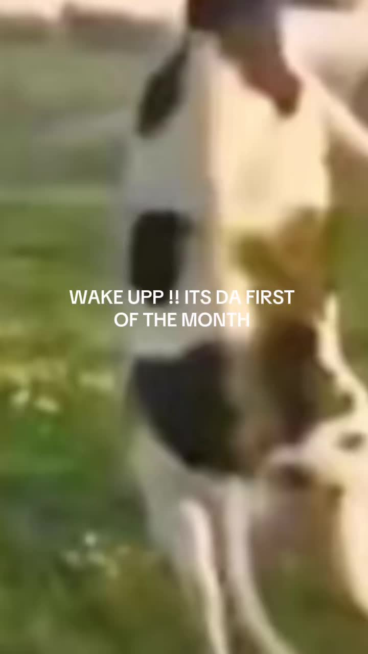@♡ 𝐽𝑒𝑠𝑠 ♡