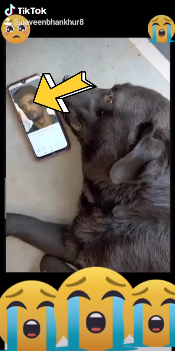 @๐Ñâvèêñ Bhãñkhùkr ?