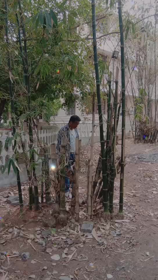 @கோ சரவணன்