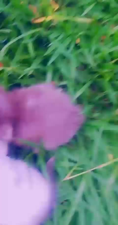 @Linah K