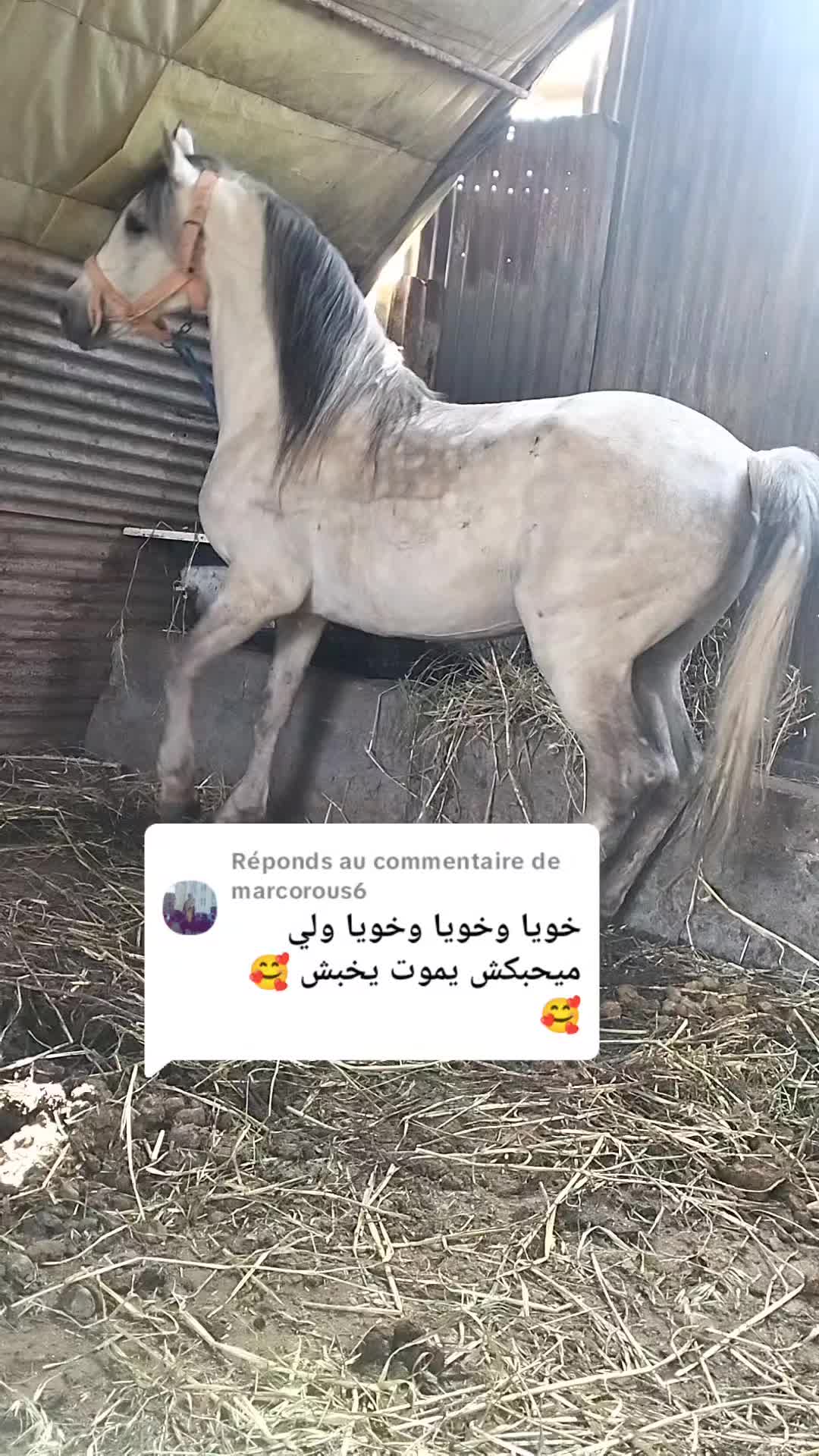 @حميد محمودي.
