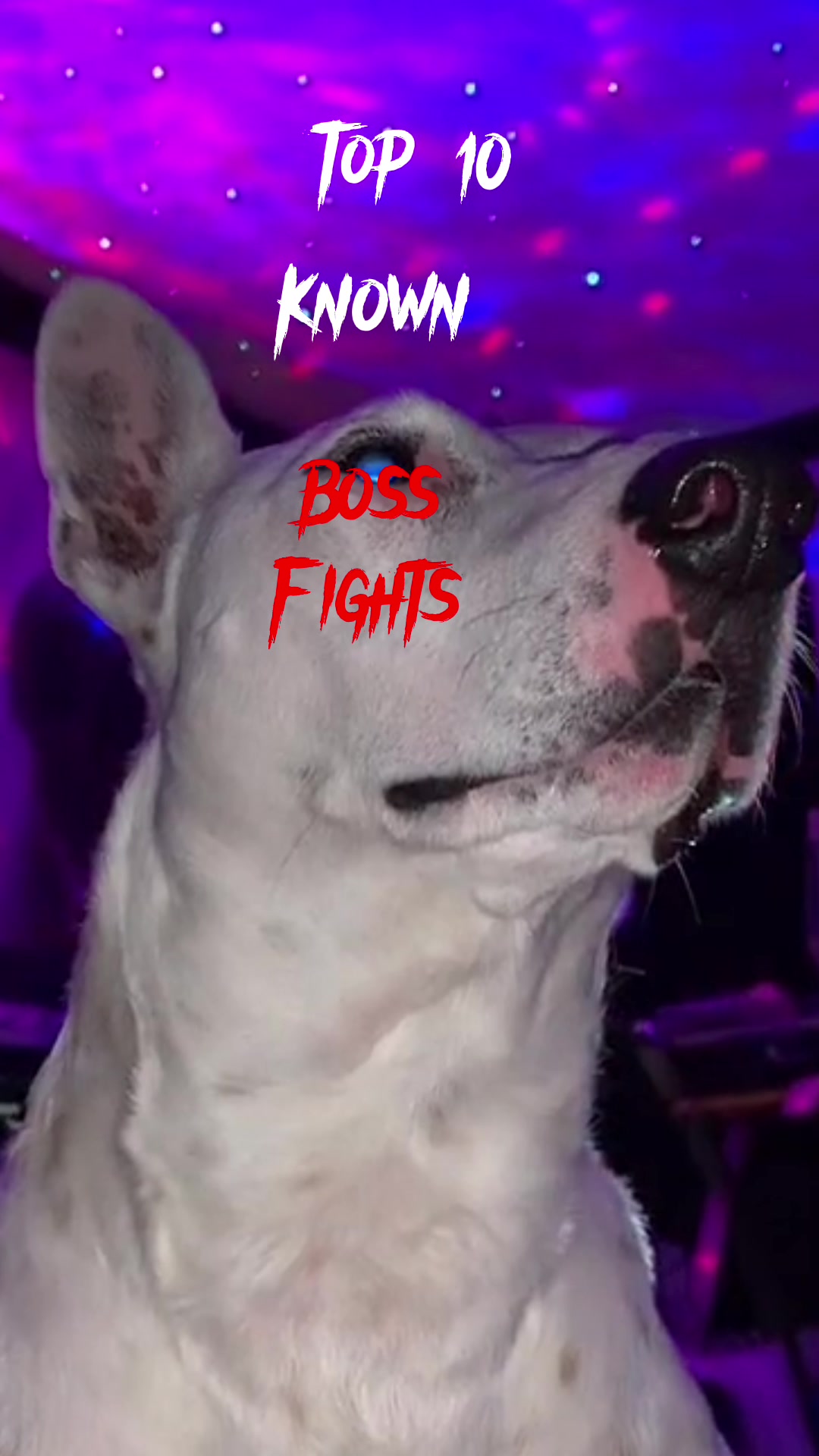 @sup my catiens stay strong