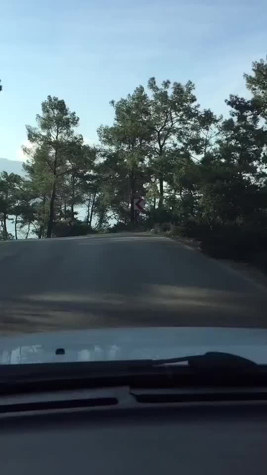 @Ali Sarı