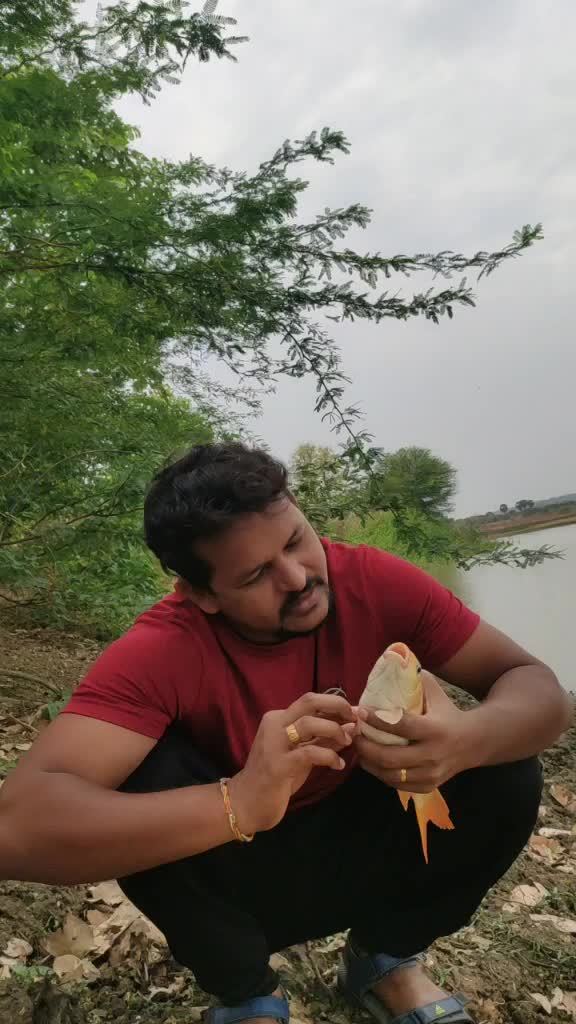 @Dinesh Sankuri