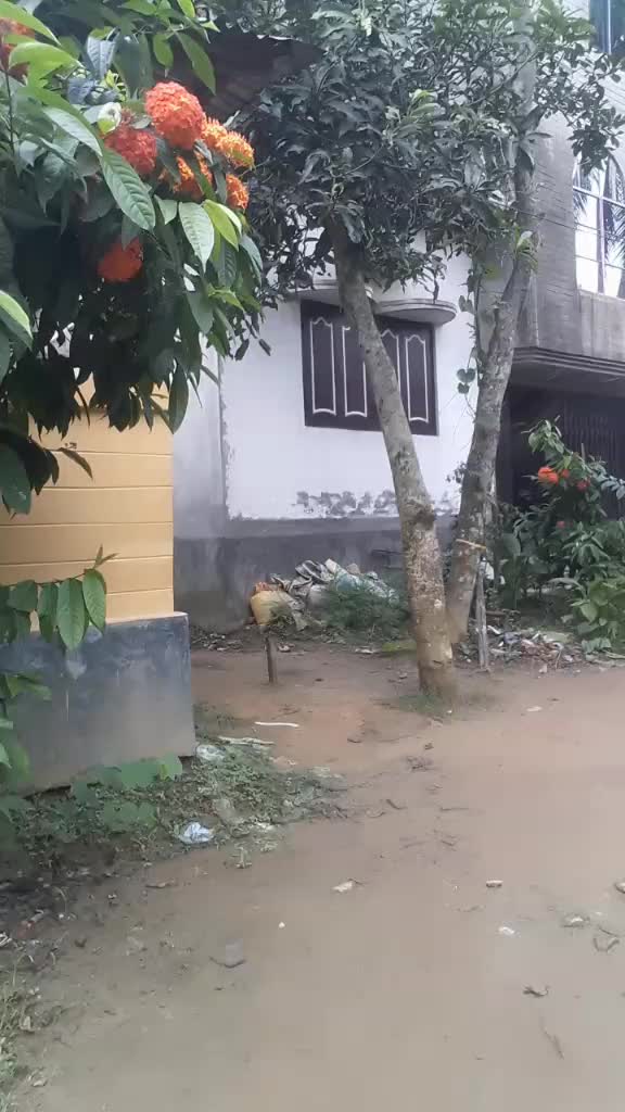 @Mintu Kar