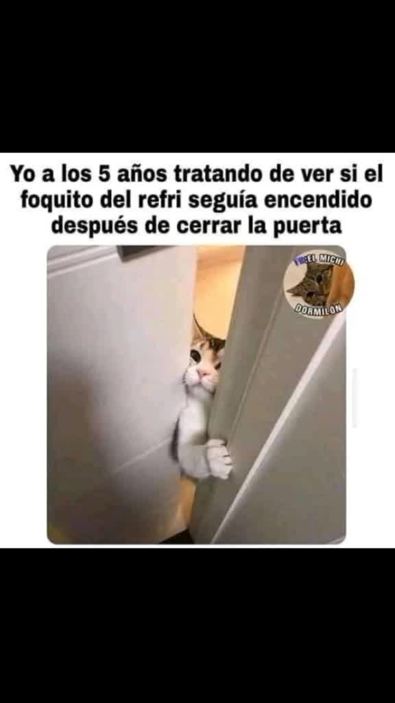 @Momazos diarios