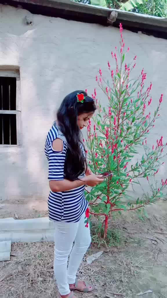 @9337026337