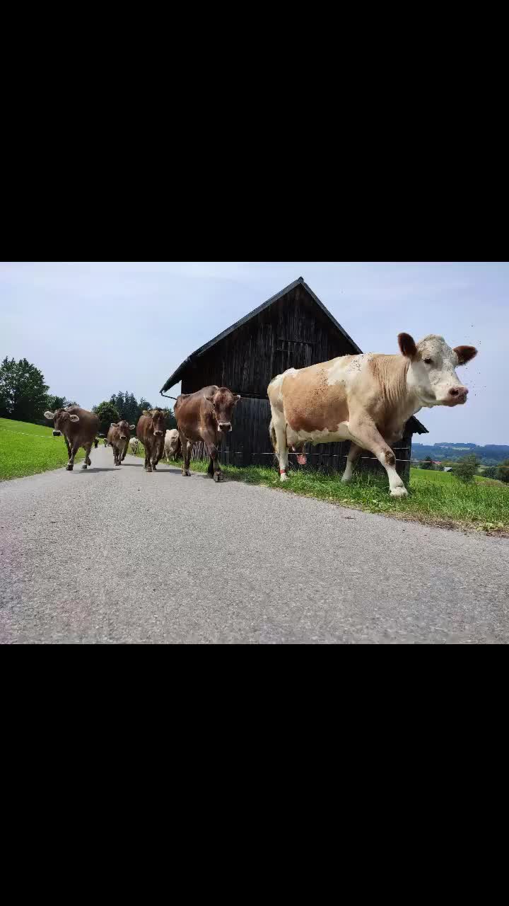 @Johannes Greißing
