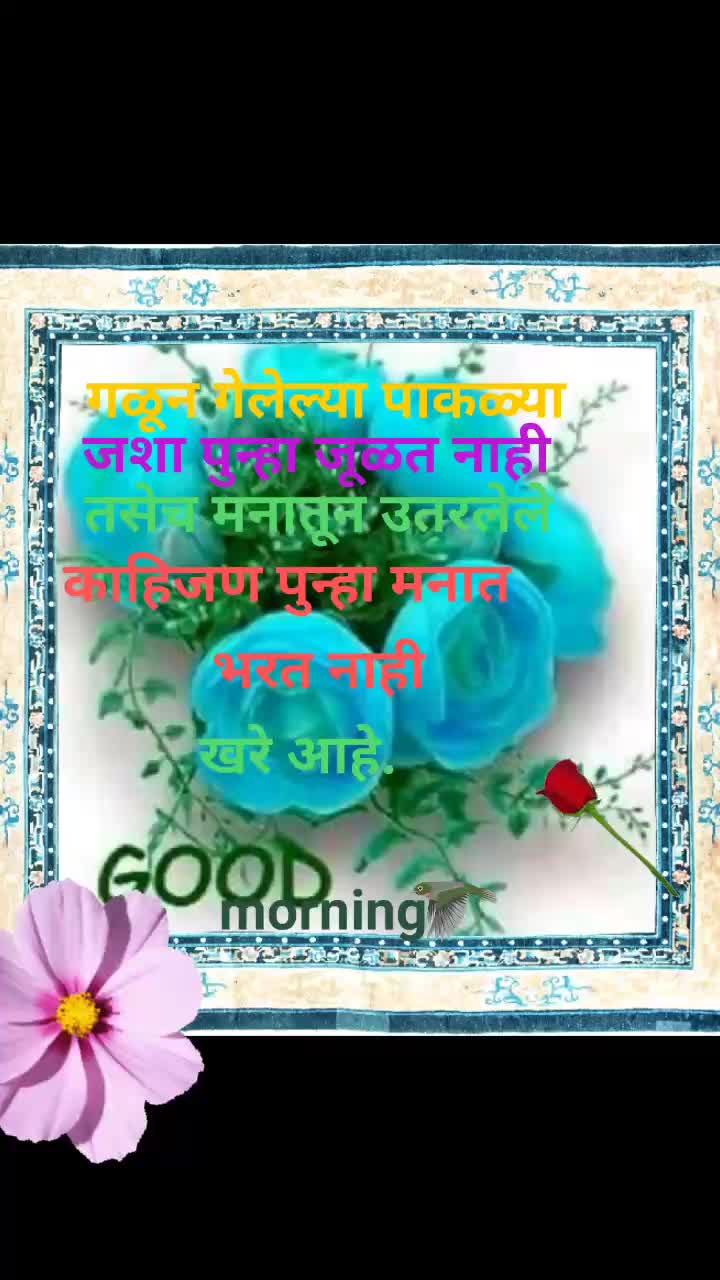 @abhijay electronic