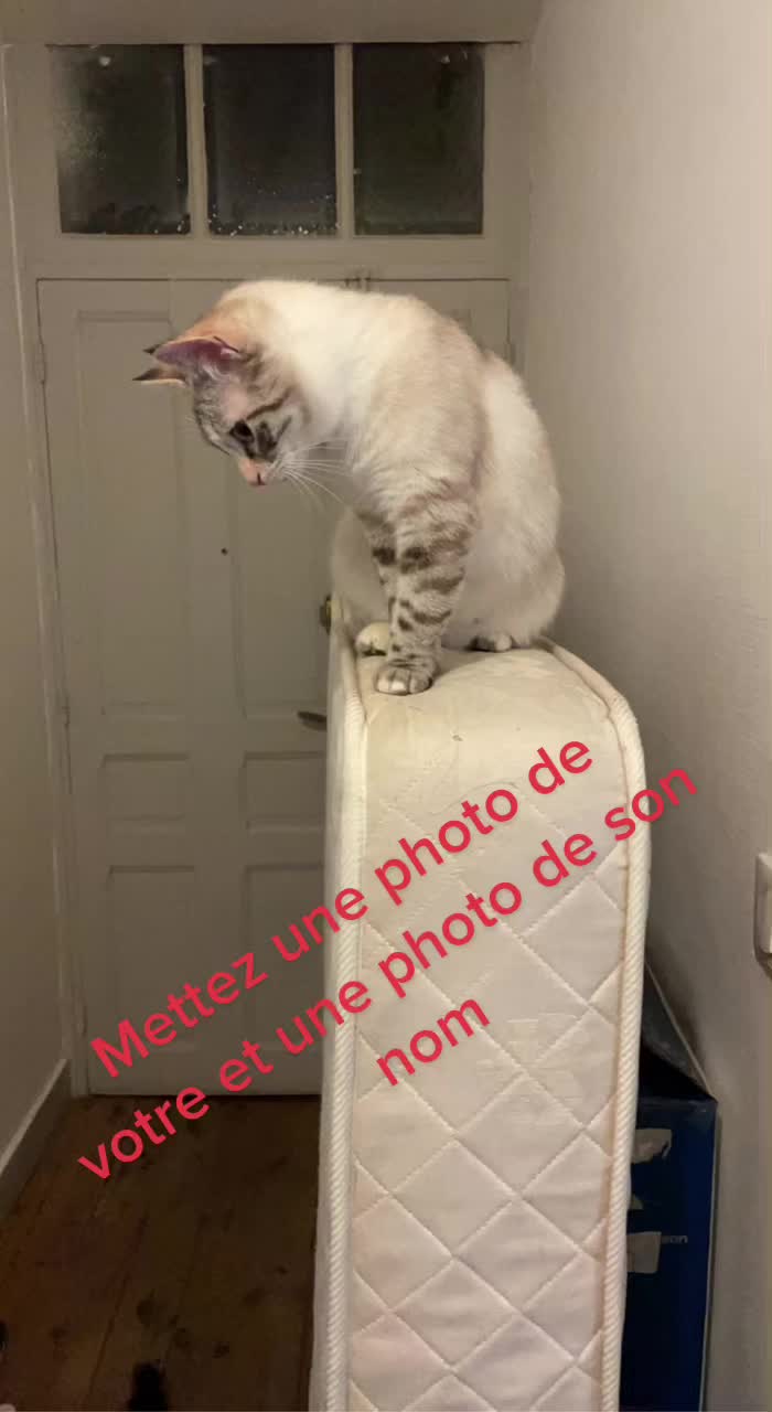 @Mathilde