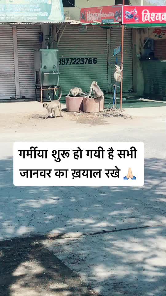 @๐ Sajid Shaikh ๐