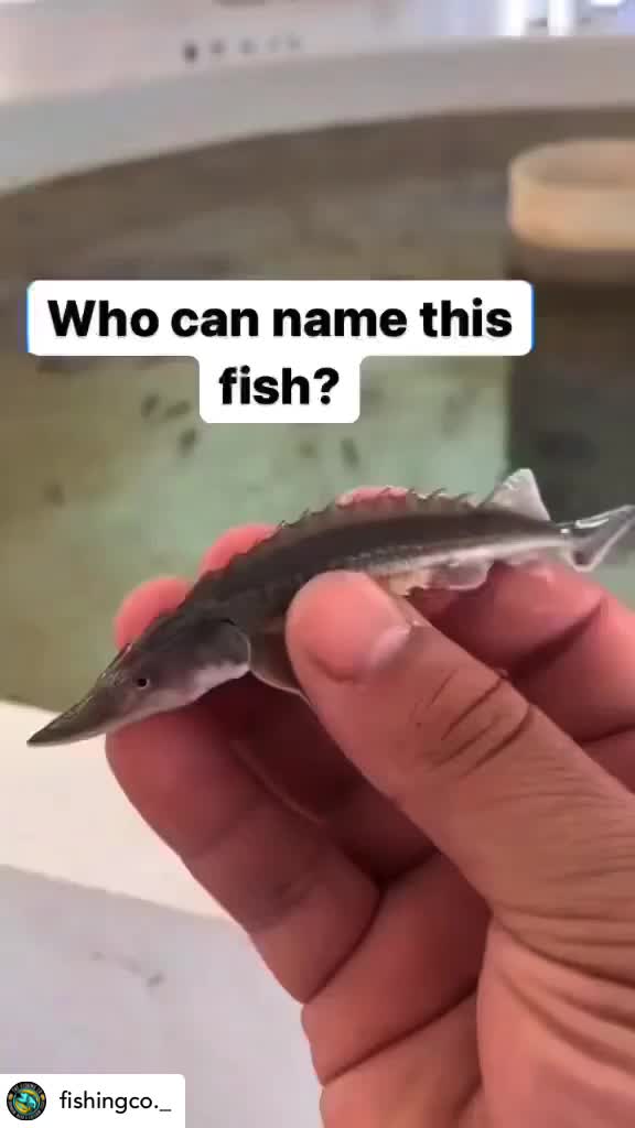 @fishing_britani🇨🇦