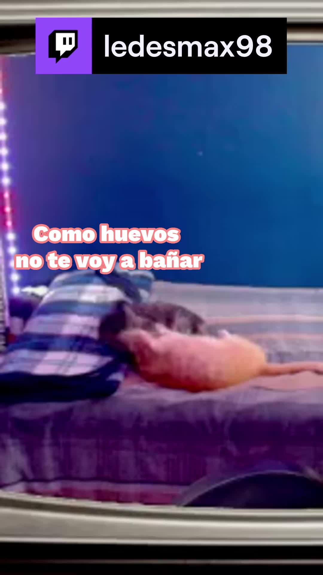 @ledesmax98
