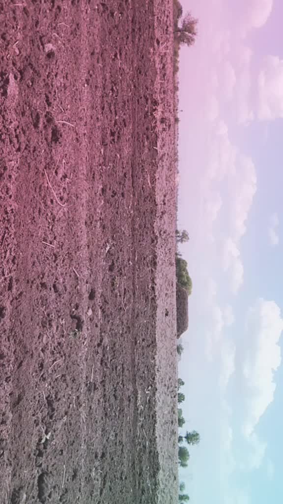 @BhimuNayak