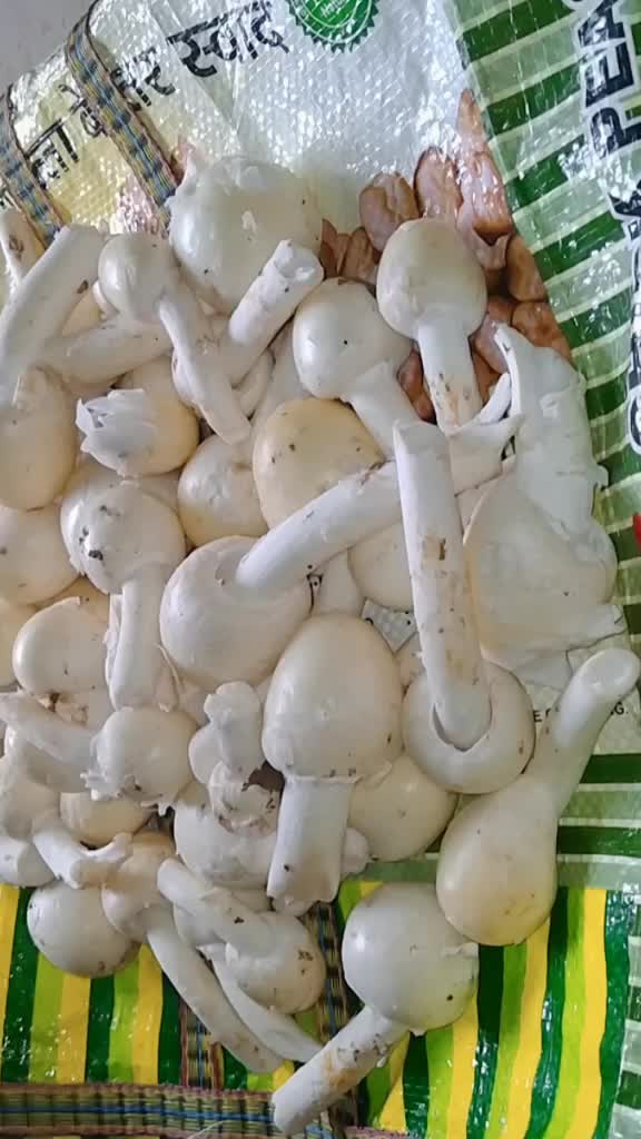 @Cụtẹ Bạbụ