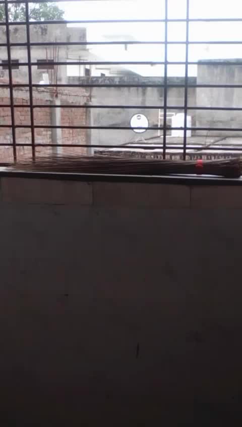 @Archit Singl