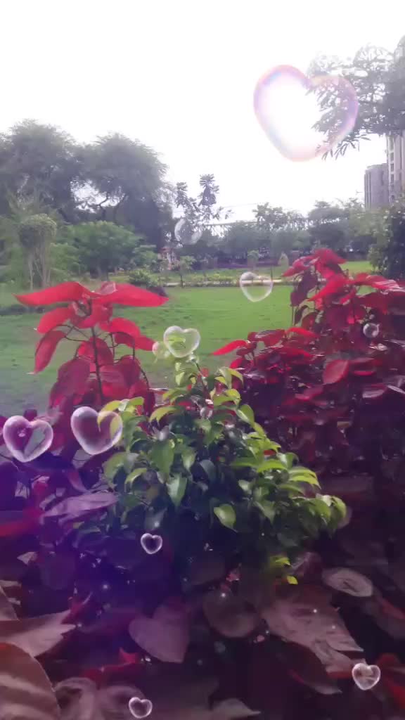 @naaz910201