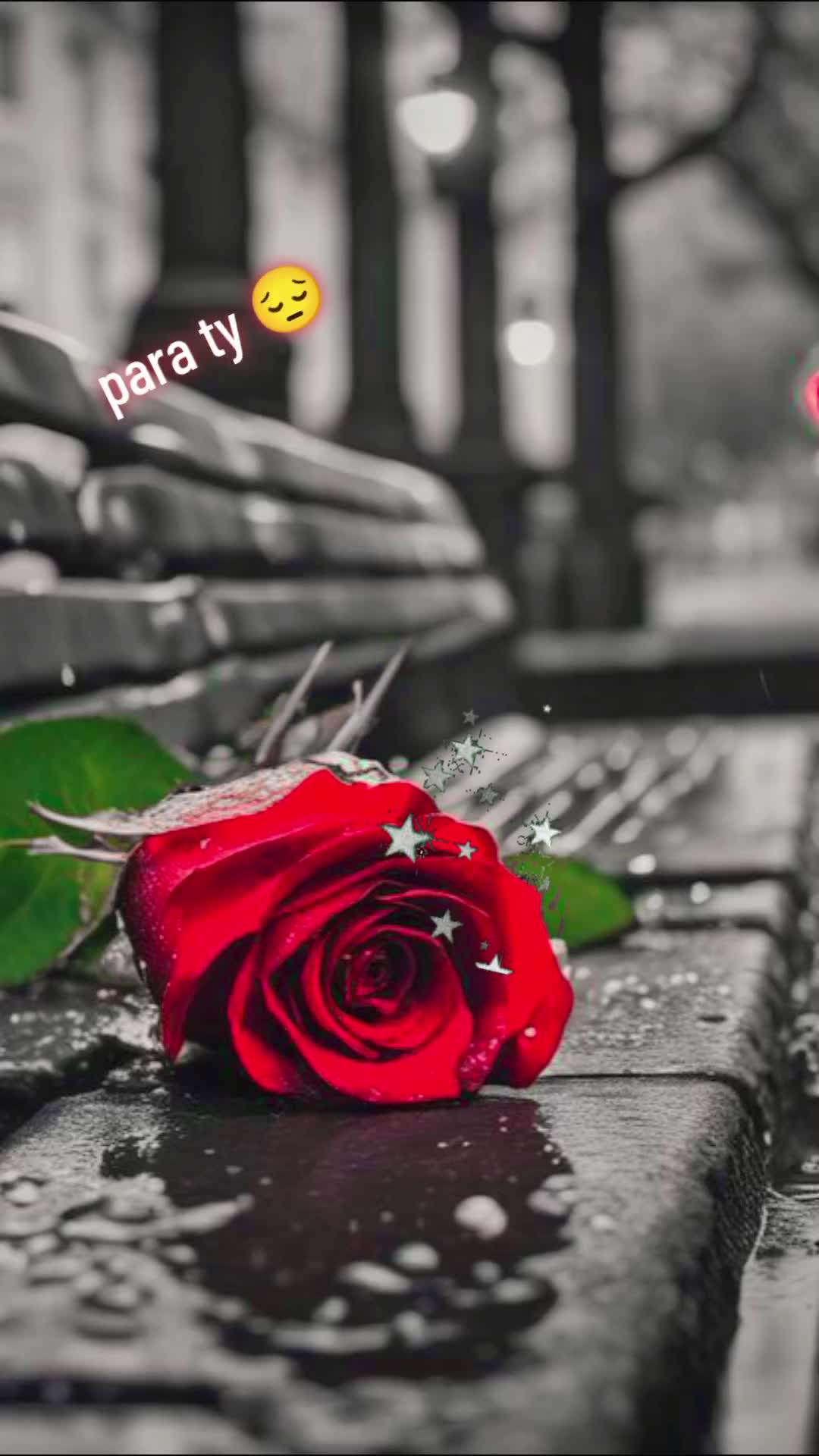 @🌹Lucia Tuqui🌹