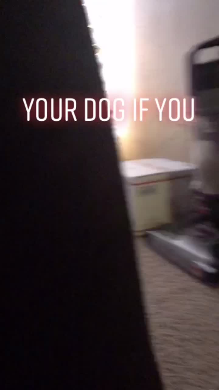@KoalaKing🐨