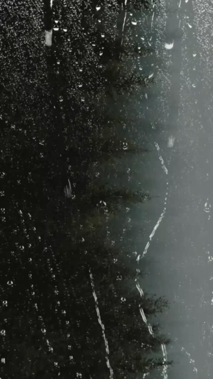 @xx_aLiShu_xx