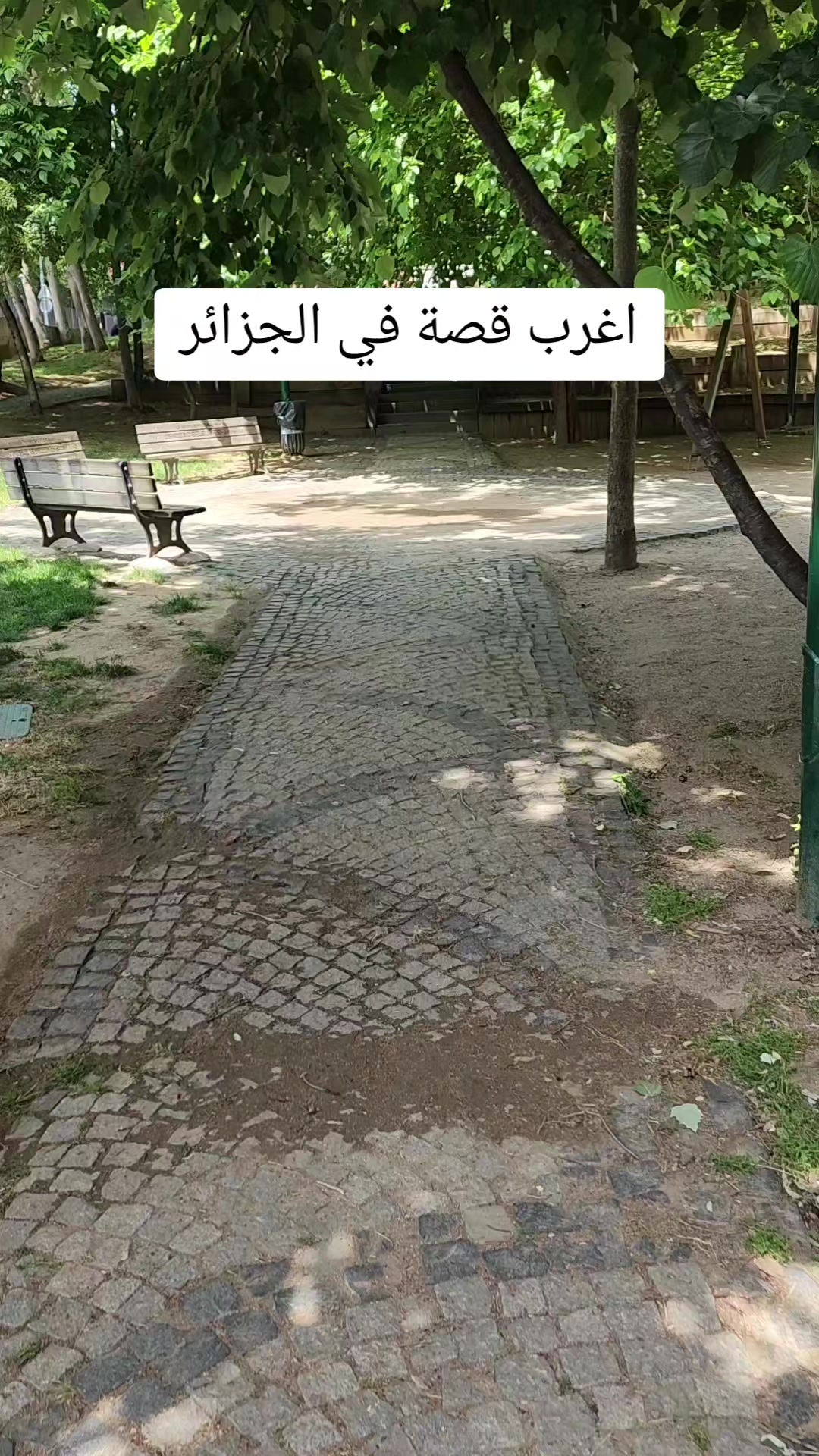 @قصص دنيا - اسمعولي هالقصة