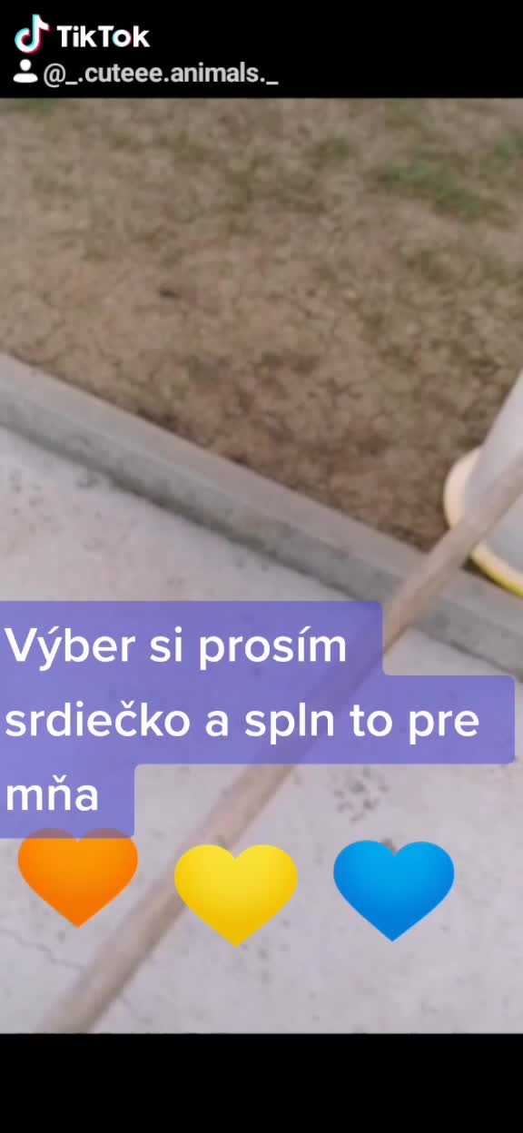 @Tara