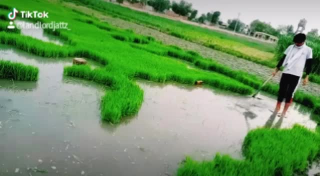 @❤ਲਾਡੀ❤