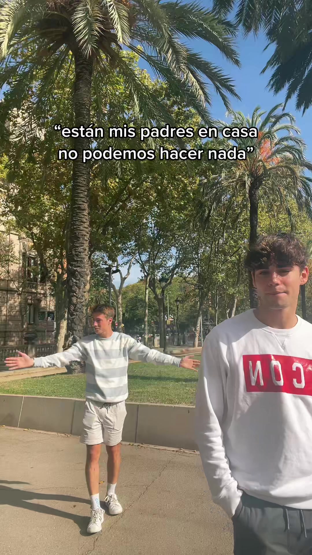 @alex vicente