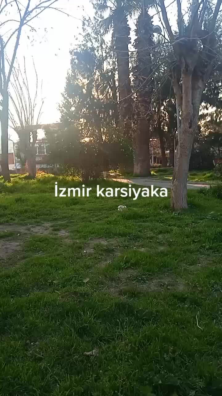 @💫Delal💫