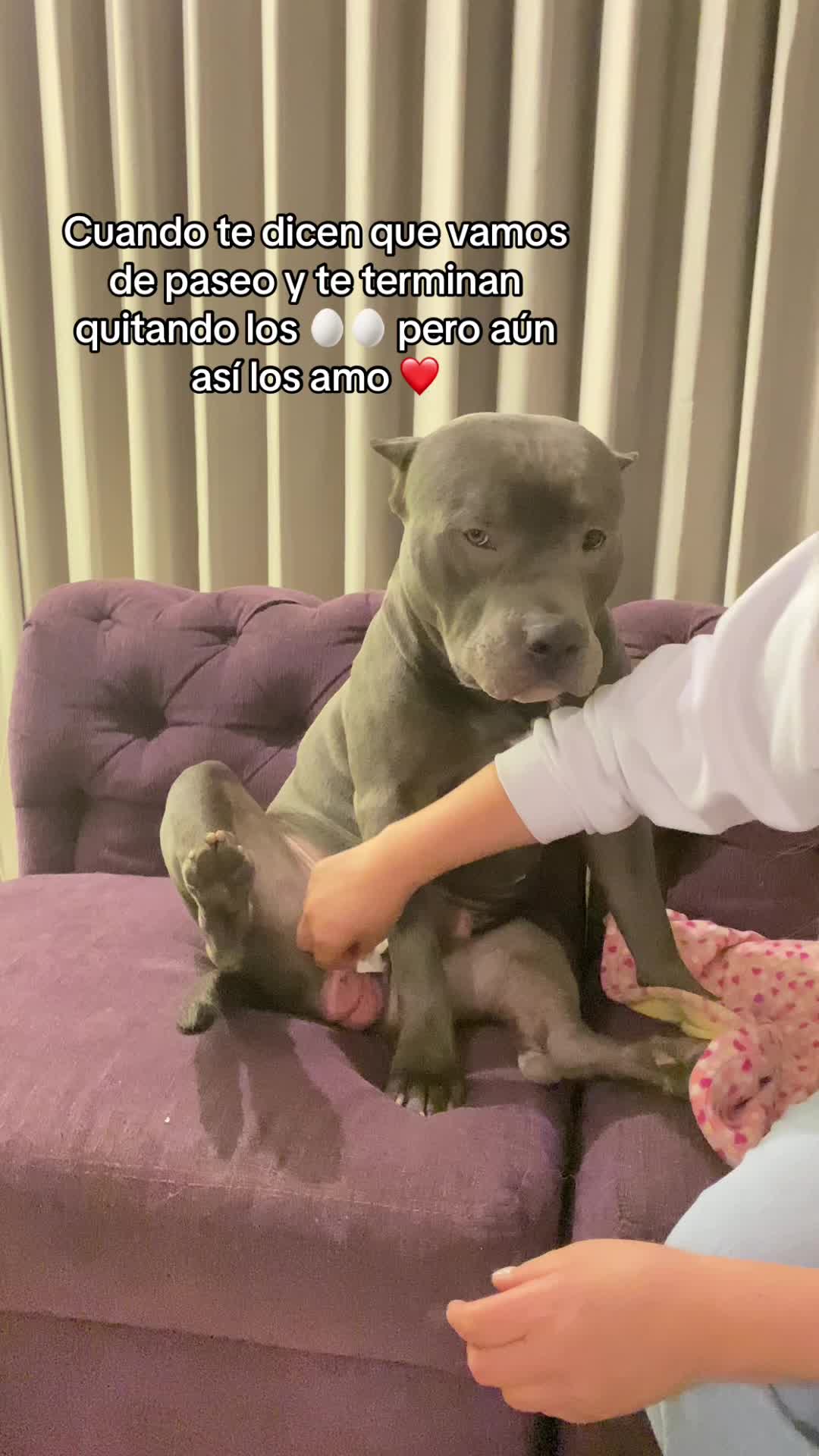 @Vanessa Carre&ntilde;o